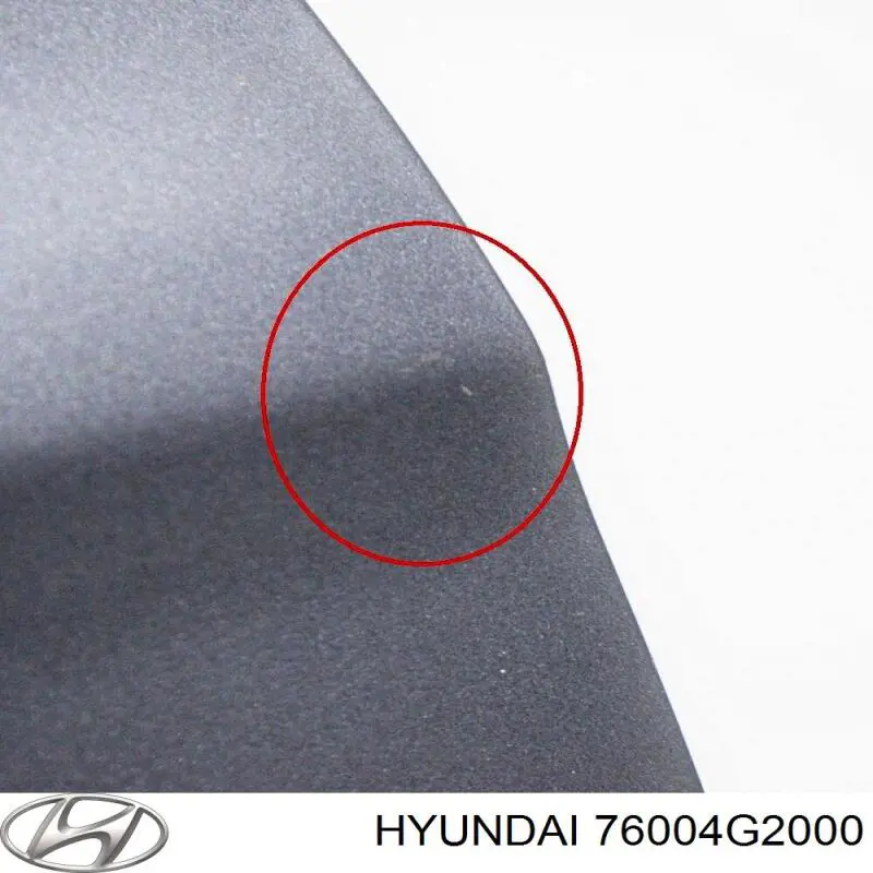 Двері передні, праві Hyundai/Kia 76004G2000 ціна, від 633.46 USD