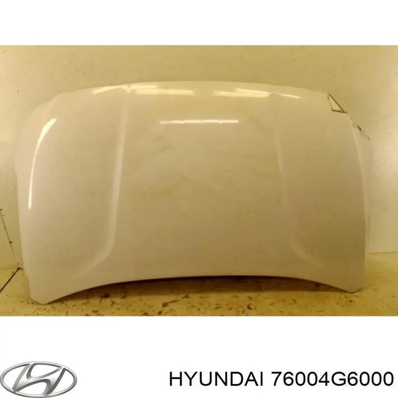 76004G6000 Hyundai/Kia Пасажирські передні двері