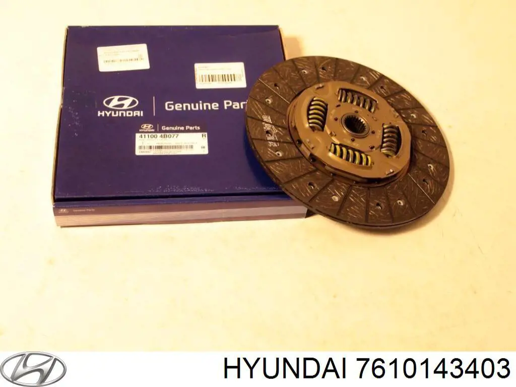Двері передні, ліві Hyundai/Kia 7610143402 ціна, від 74.75 USD