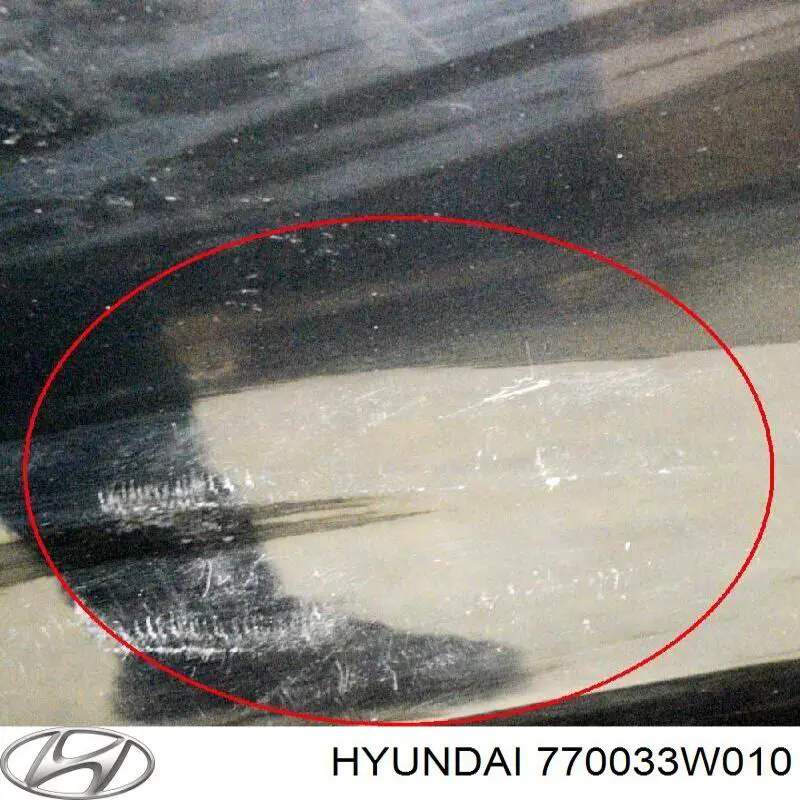 Двері задні Hyundai/Kia 770033W010 ціна, від 174.61 USD