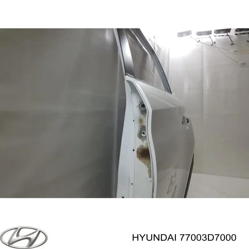 Купити Двері задні, ліві Hyundai Tucson III TL