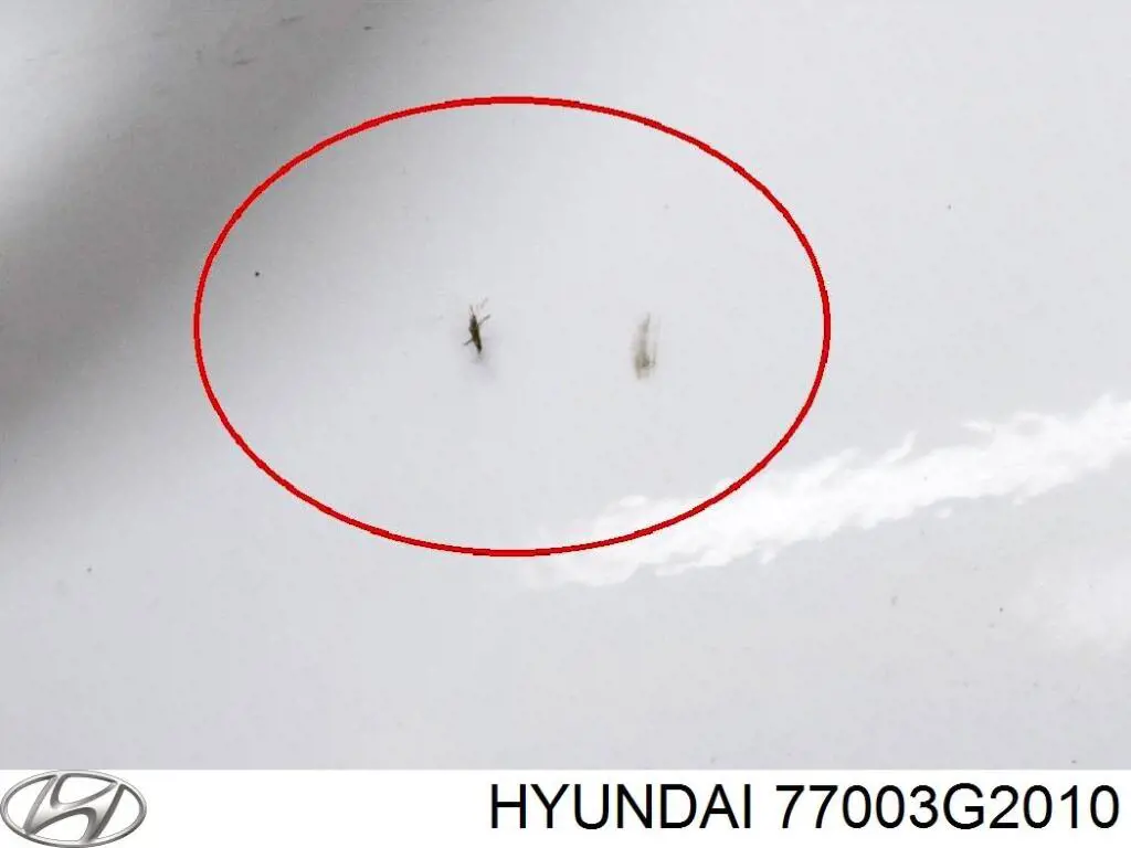 Двері задні Hyundai/Kia 77003G2010 ціна, від 430.75 USD