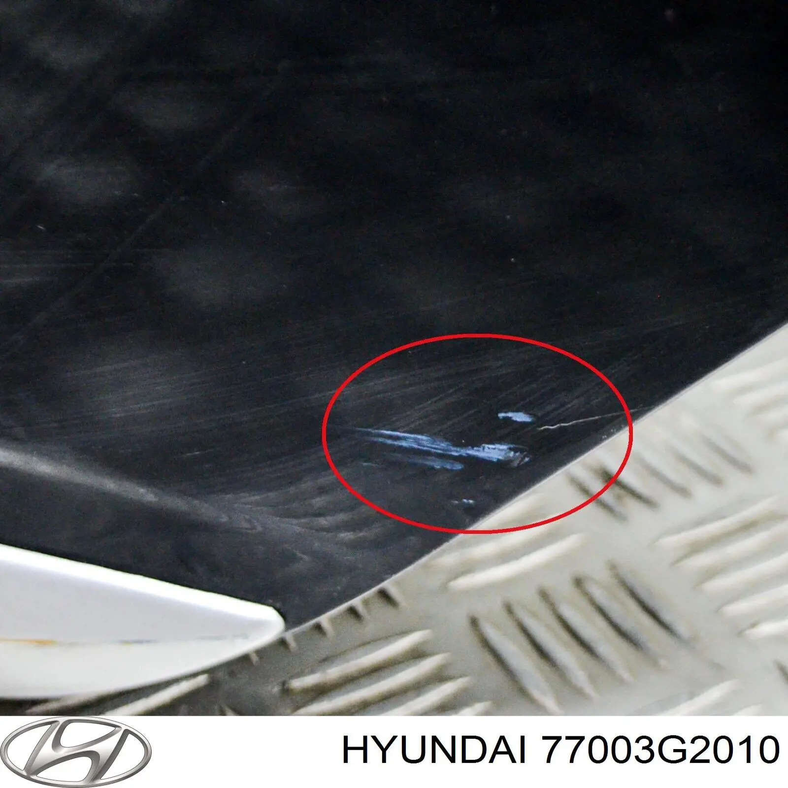 Купити 77003G2010 Hyundai/Kia Двері задні, ліві