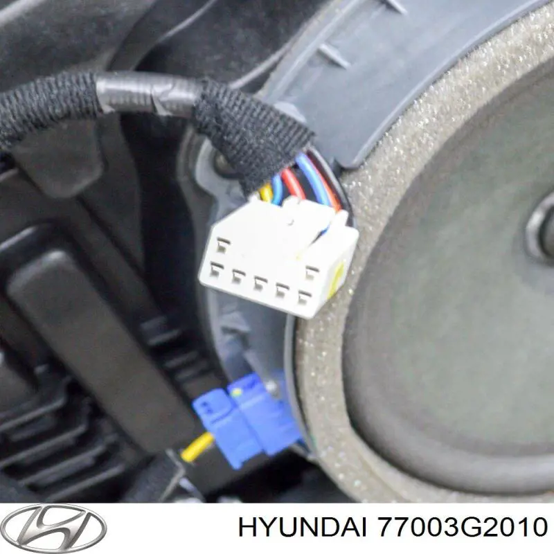 Двері задні, ліві 77003G2010 Hyundai/Kia