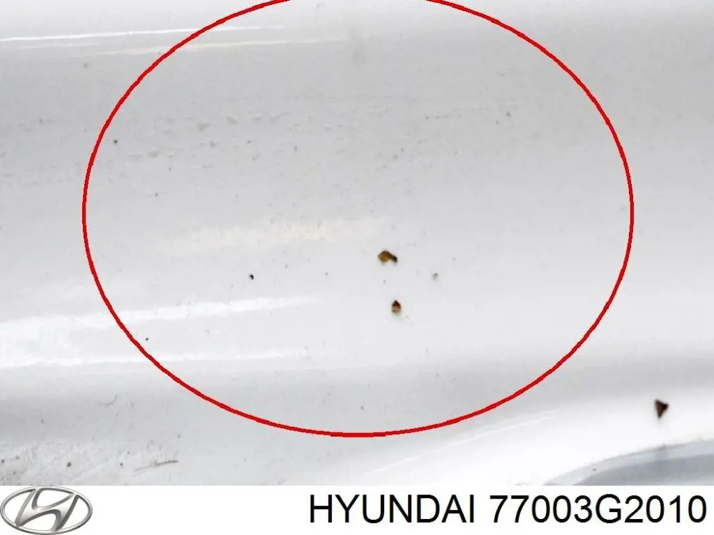 77003G2010 Hyundai/Kia Двері пасажирськи задні ліві