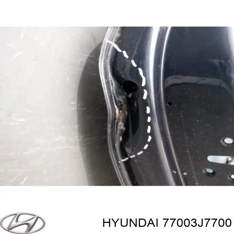 Двері задні Hyundai/Kia 77003J7700 ціна, від 373.75 USD