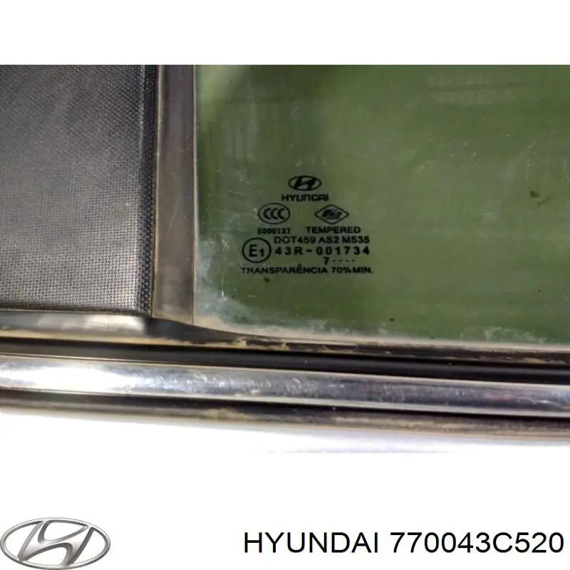 Двері задні, праві Hyundai Sonata (EU4) (Хендай Соната)