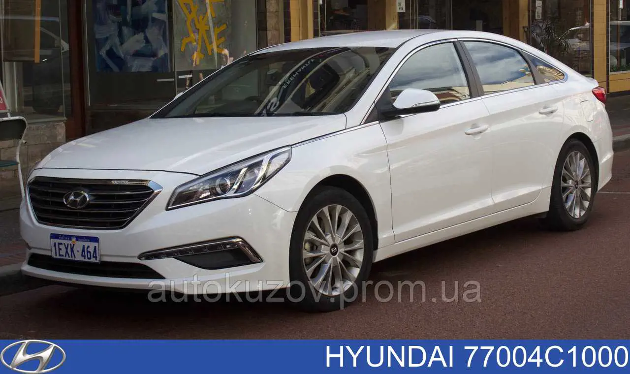 Двері задні, праві Hyundai/Kia 77004C1000 ціна, від 225.48 USD
