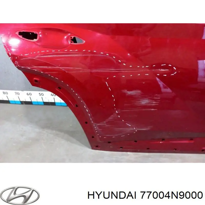 Купити 77004N9000 Hyundai/Kia Двері задні, праві