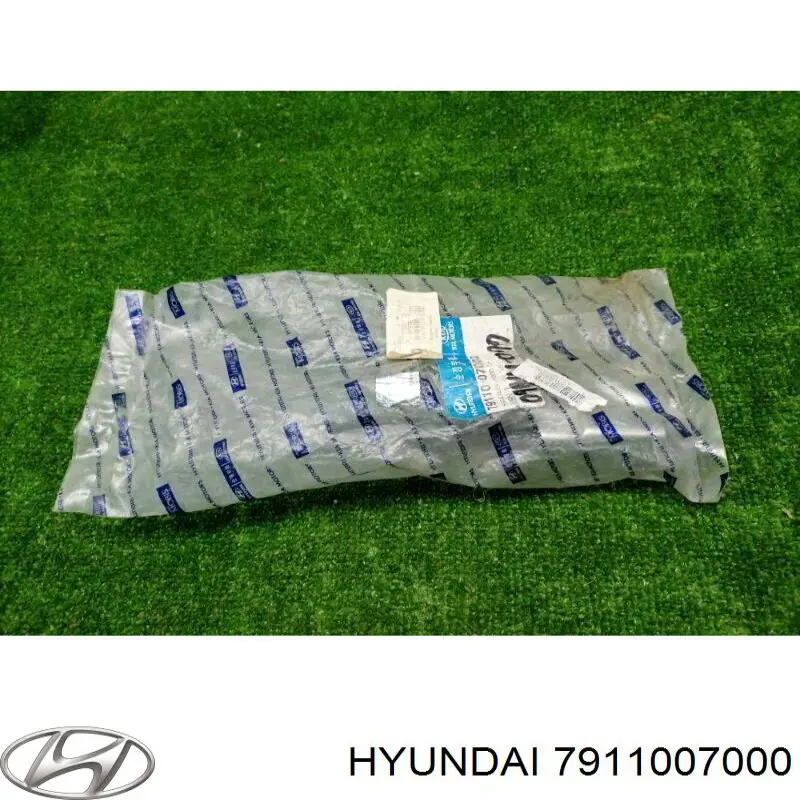 Купити 7911007000 Hyundai/Kia Шарнір капота лівий