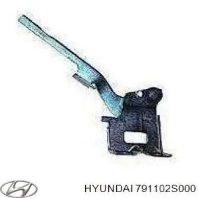 Завіс капота, лівий Hyundai/Kia 791102S000 ціна, від 34.24 USD