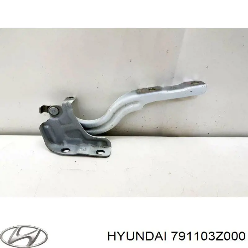 Петля капота, ліва Hyundai/Kia 791103Z000 ціна, від 12.37 USD