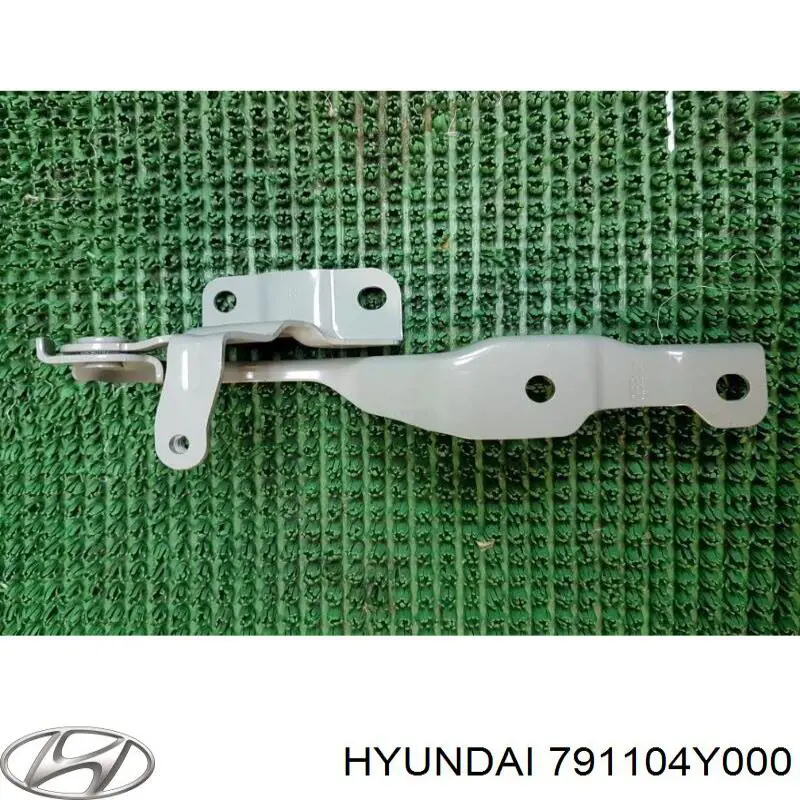 Петля капота, ліва Hyundai/Kia 791104Y000 ціна, від 27.86 USD
