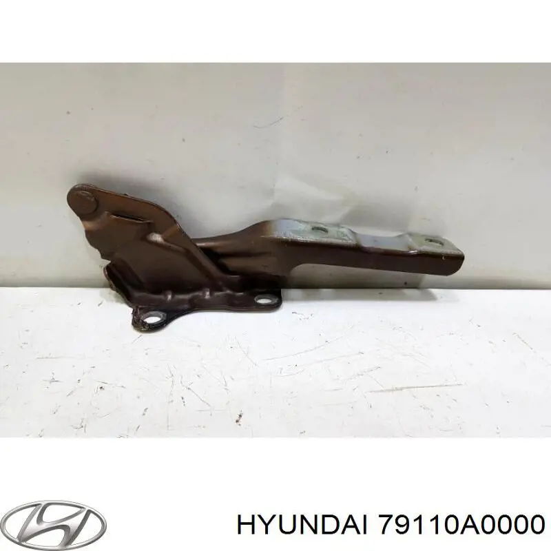 Петля капота, ліва Hyundai/Kia 79110A0000 ціна, від 14.09 USD