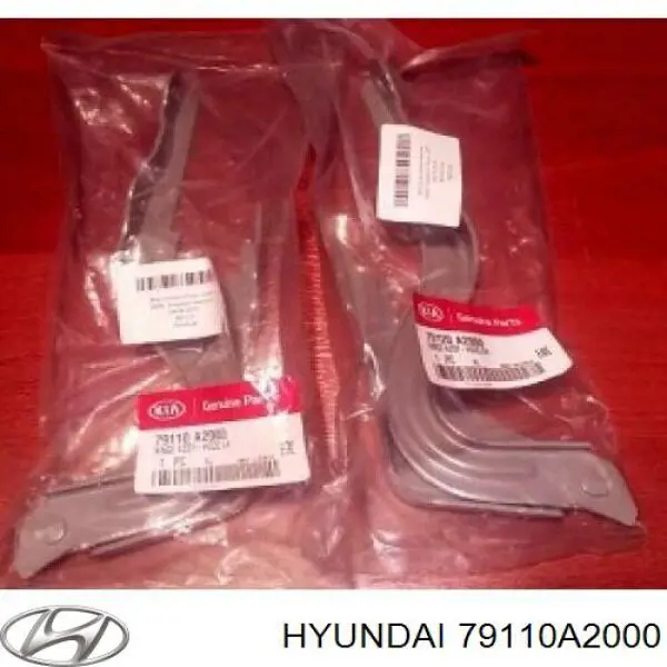 Купити 79110A2000 Hyundai/Kia Шарнір капота лівий