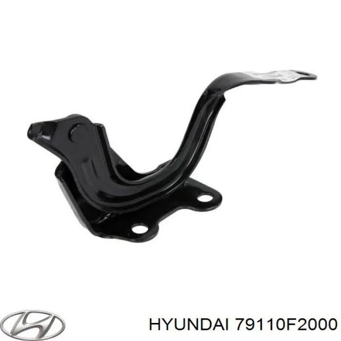 Петля капота, ліва Hyundai/Kia 79110F2000 ціна, від 15.23 USD