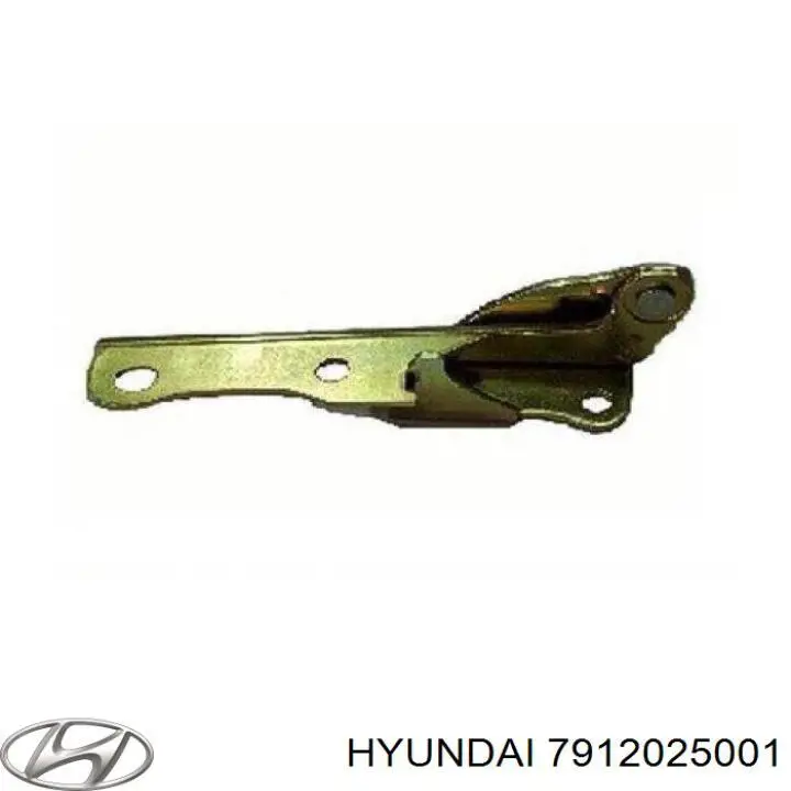 Купити 7912025001 Hyundai/Kia Завіса капота права