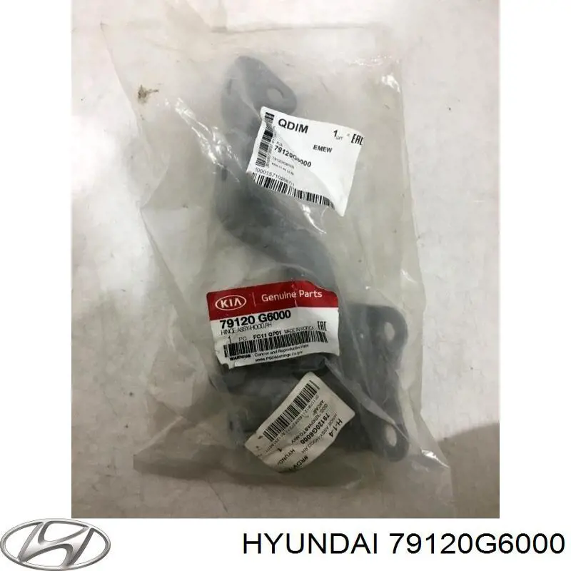 Завіс капота, правий Hyundai/Kia 79120G6000 ціна, від 34.86 USD