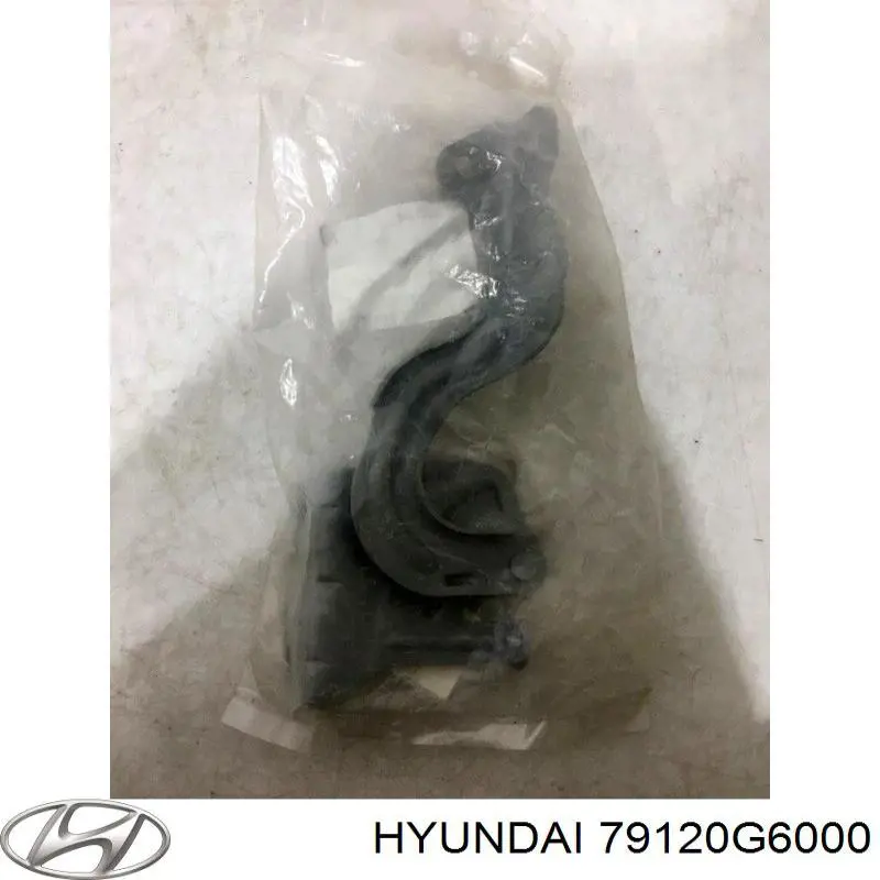 79120G6000 Hyundai/Kia Петля капота, права