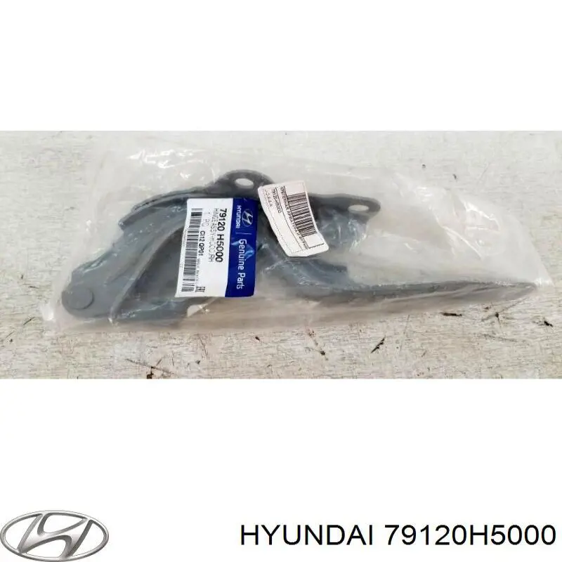 Завіса капота права Hyundai/Kia 79120H5000 ціна, від 10.92 USD