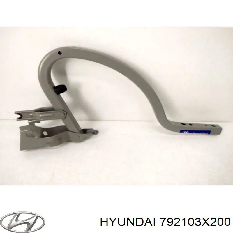 Завіса кришки багажника Hyundai/Kia 792103X200 ціна, від 19.58 USD