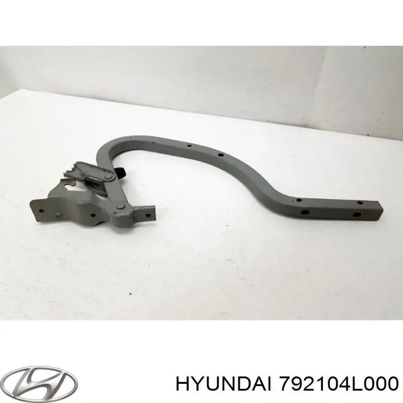Купити 792104L000 Hyundai/Kia Петля багажника