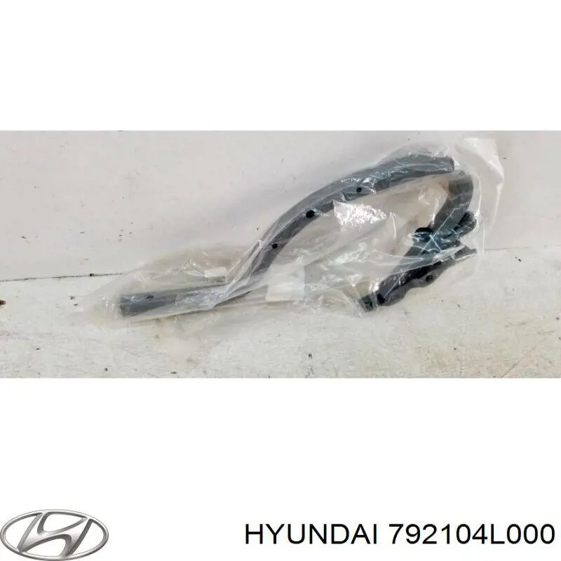 Завіса кришки багажника Hyundai/Kia 792104L000 ціна, від 27.87 USD