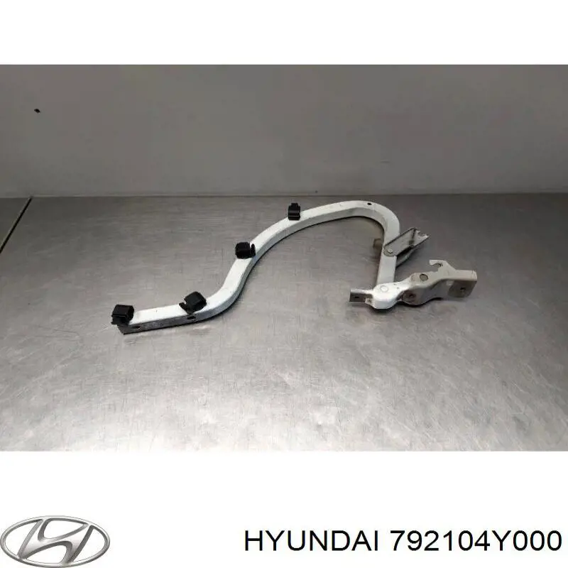 Завіса кришки багажника Hyundai/Kia 792104Y000 ціна, від 58.19 USD