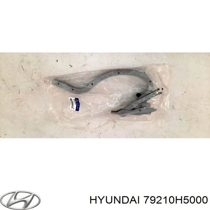 Купити 79210H5000 Hyundai/Kia Петля багажника