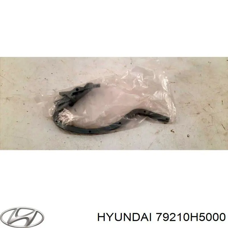 Деталі багажника (петлі і упор кришки) Hyundai/Kia 79210H5000 ціна, від 25.40 USD