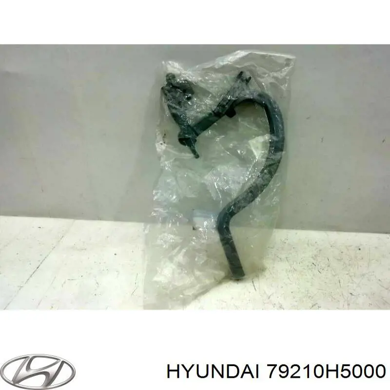 79210H5000 Hyundai/Kia Завіса кришки багажника