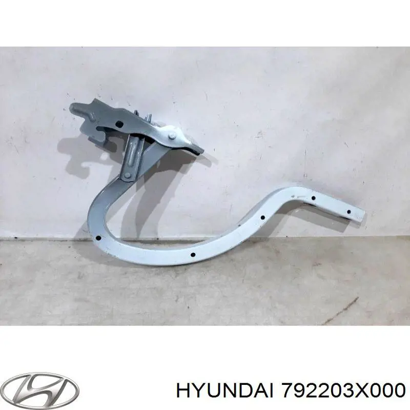 792203X000 Hyundai/Kia петля кришки багажника
