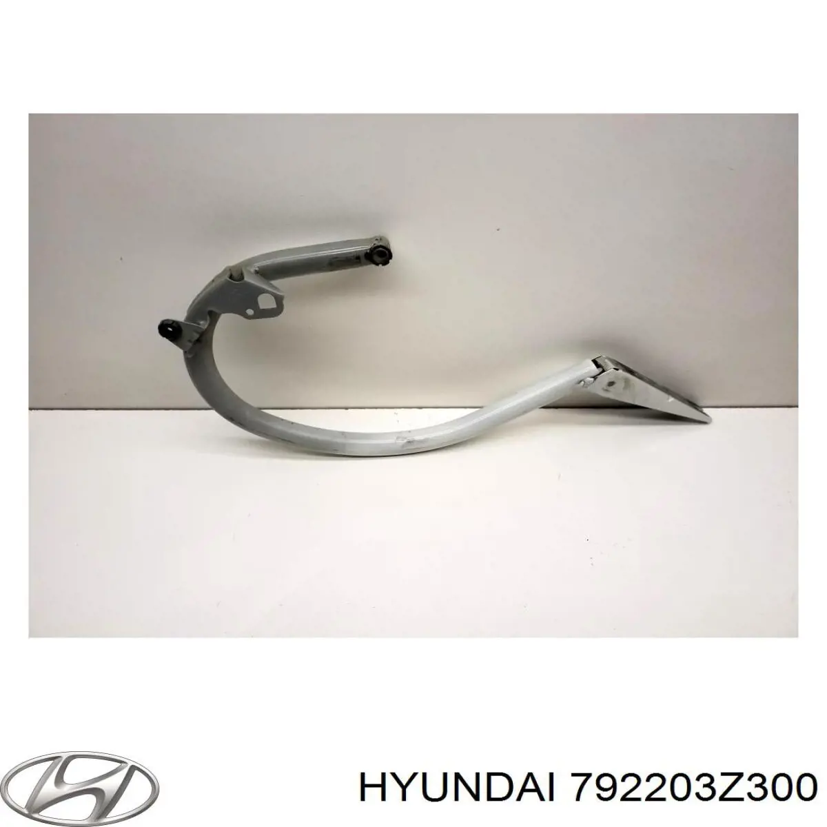 Купити 792203Z300 Hyundai/Kia Петля багажника