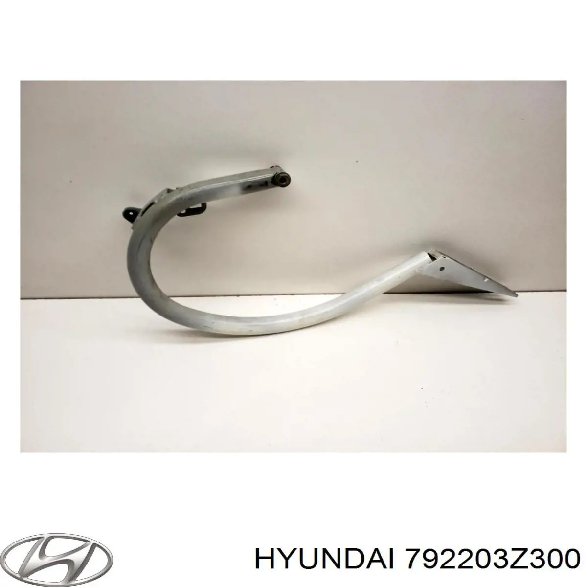 792203Z300 Hyundai/Kia Кріплення кришки багажника