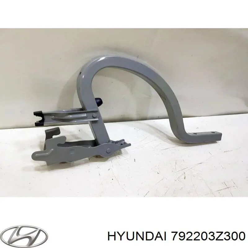 Завіса кришки багажника Hyundai/Kia 792203Z300 ціна, від 25.14 USD