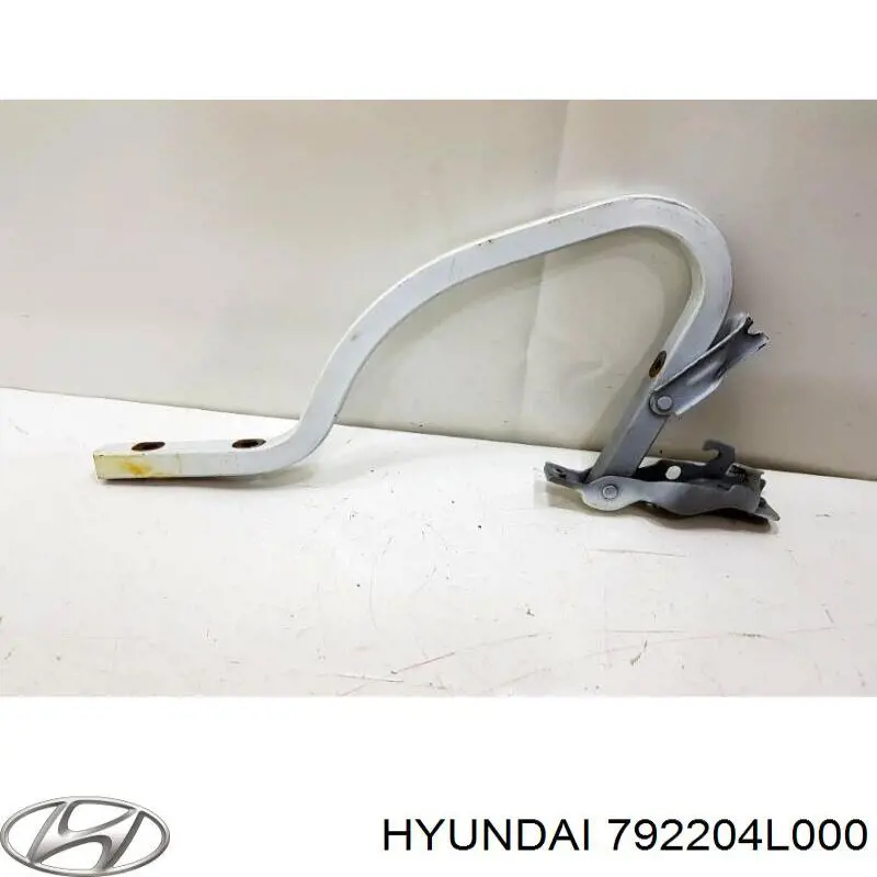 Завіса кришки багажника Hyundai/Kia 792204L000 ціна, від 35.46 USD