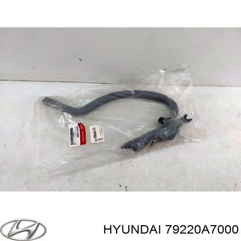 Завіса кришки багажника Hyundai/Kia 79220A7000 ціна, від 19.06 USD