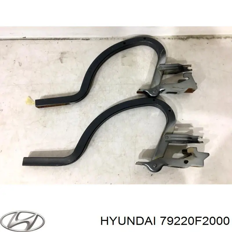 Завіса кришки багажника Hyundai/Kia 79220F2000 ціна, від 21.54 USD