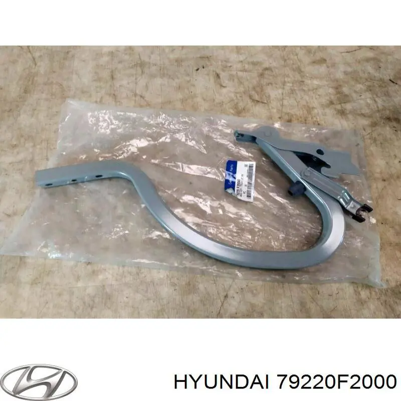 79220F2000 Hyundai/Kia Кріплення кришки багажника