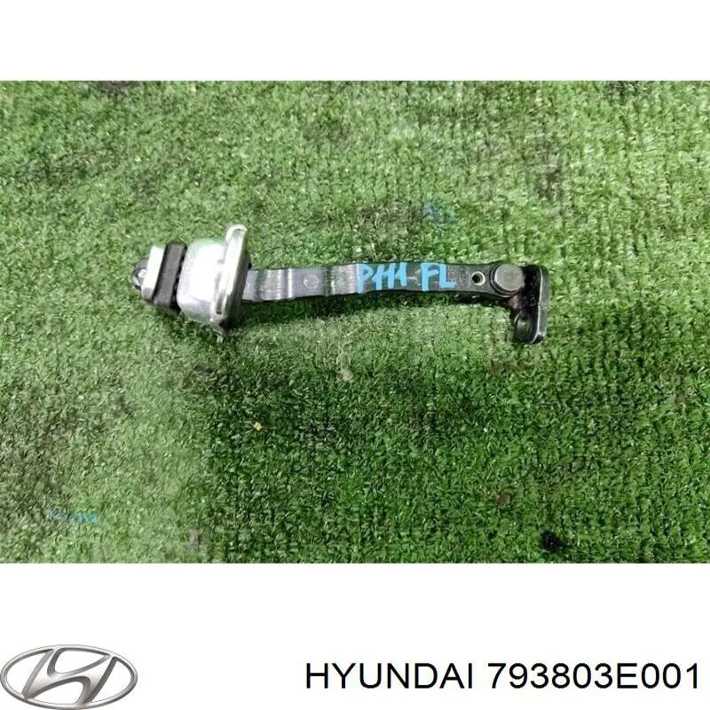 Купити 793803E001 Hyundai/Kia Обмежувач відкриття дверей, передній лівий