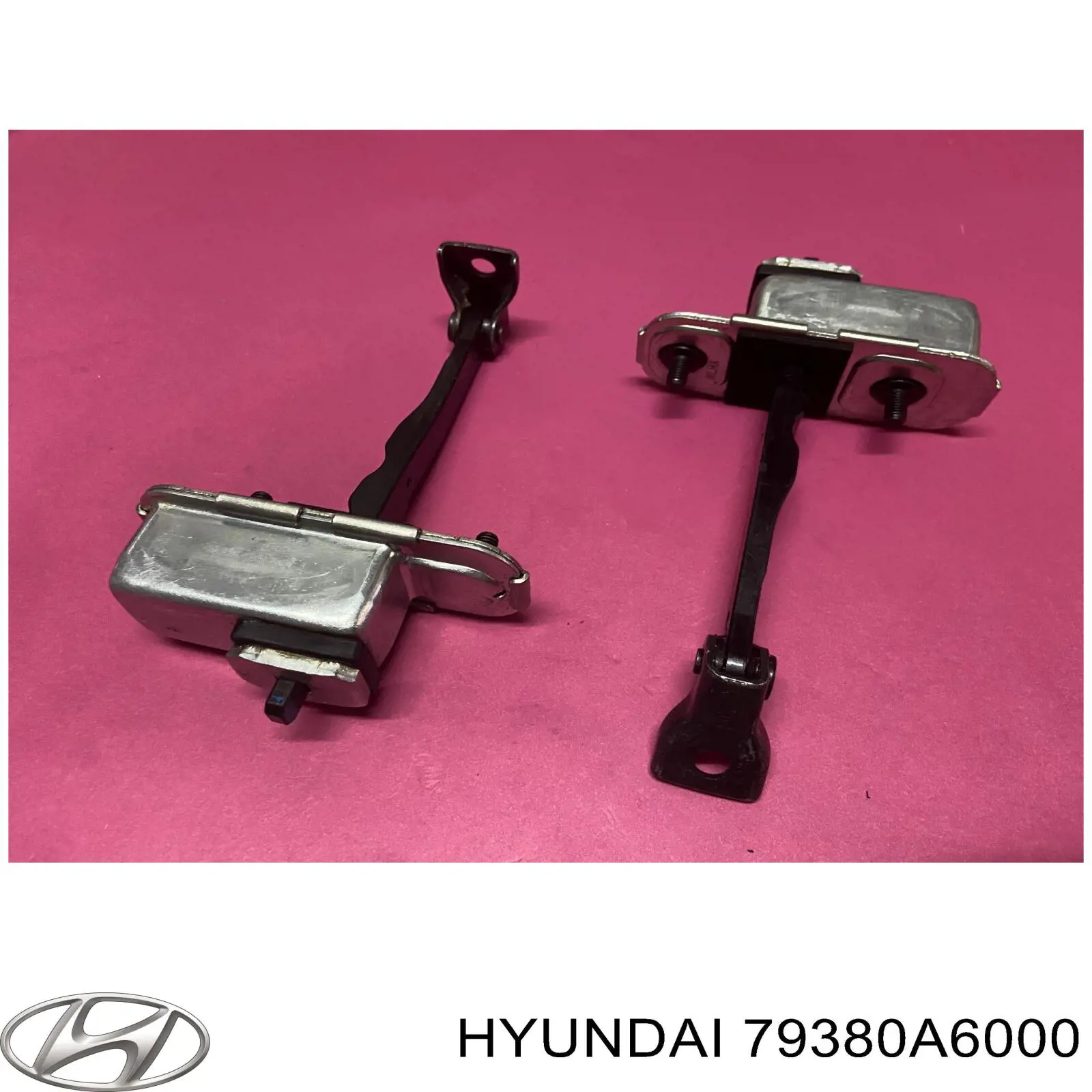 Обмежувач відкриття дверей, передній лівий Hyundai/Kia 79380A6000 ціна, від 6.33 USD