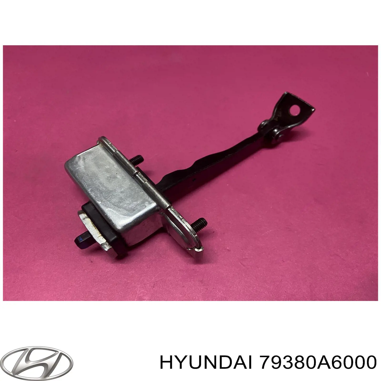 79380A6000 Hyundai/Kia Обмежувач відкриття дверей, передній лівий