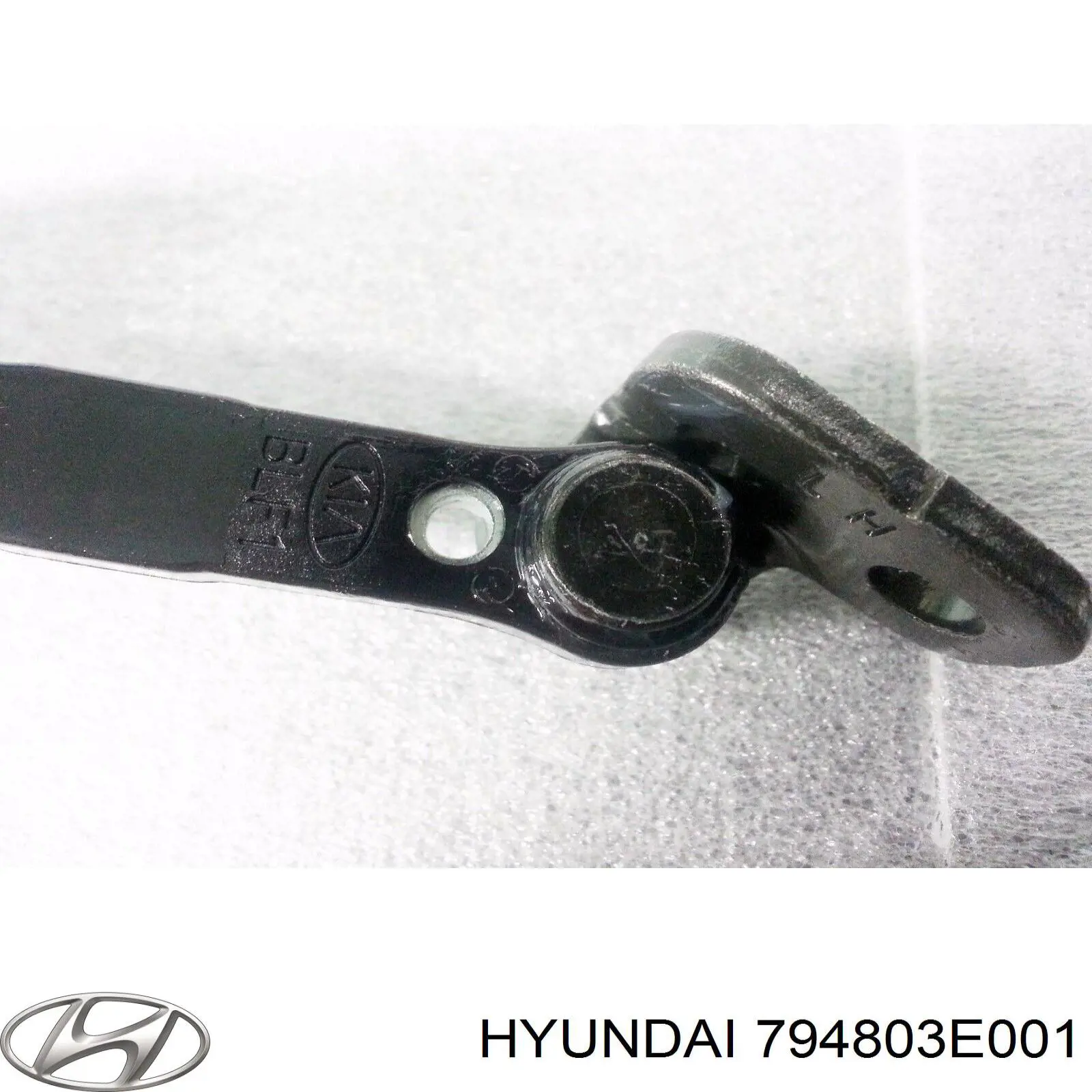 Обмежувач відкриття дверей, задній лівий Hyundai/Kia 794803E001 ціна, від 3.87 USD