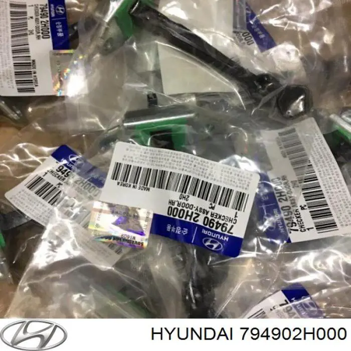 794902H000 Hyundai/Kia Обмежувач відкриття дверей, задній правий