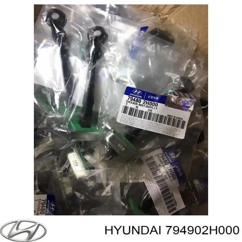 Обмежувач відкриття дверей, задній правий Hyundai/Kia 794902H000 ціна, від 13.86 USD