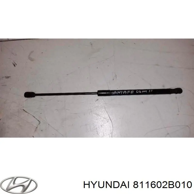 Амортизатор капота 811602B010 Hyundai/Kia