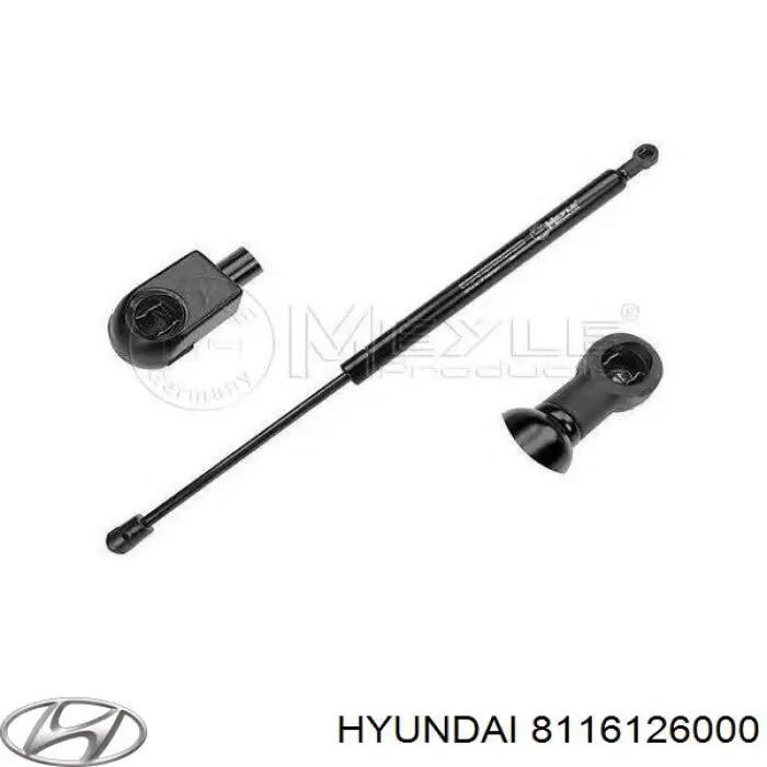 Амортизатор капота Hyundai Santa Fe 1 (SM) (Хендай Санта фе)