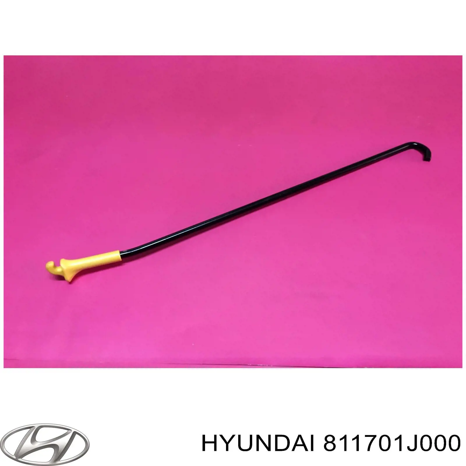 811701J000 Hyundai/Kia 