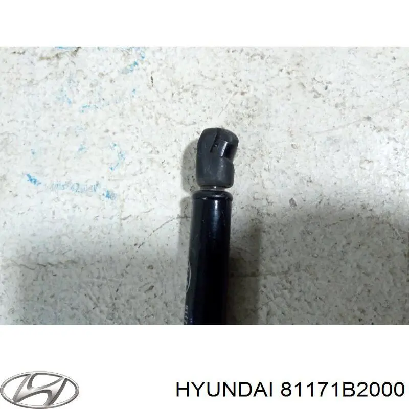 Амортизатор капота газовий Hyundai/Kia 81171B2000 ціна, від 12.70 USD