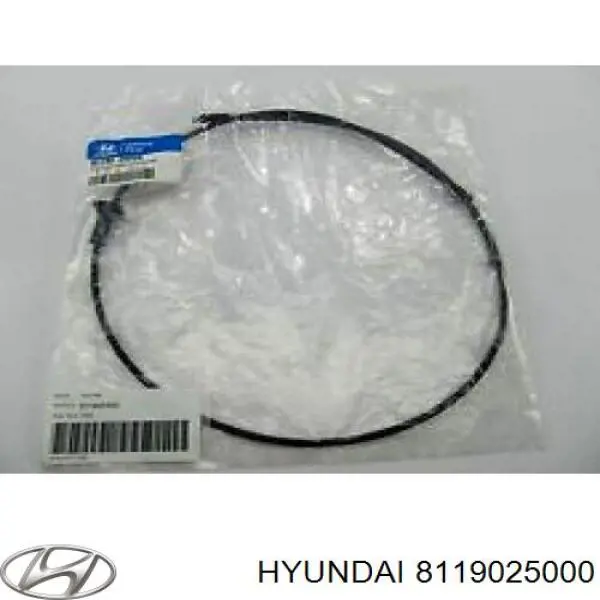 Купити 8119025000 Hyundai/Kia Трос капота